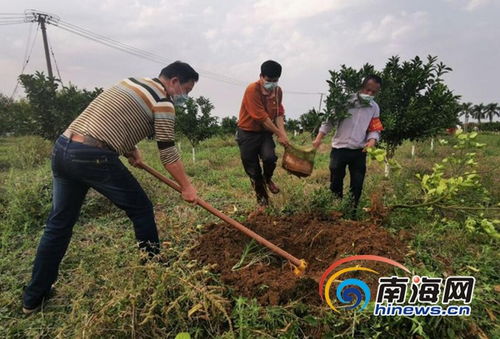 抗击疫情 复工 吹响复工复产集结号 海南垦区企业有序复工复产